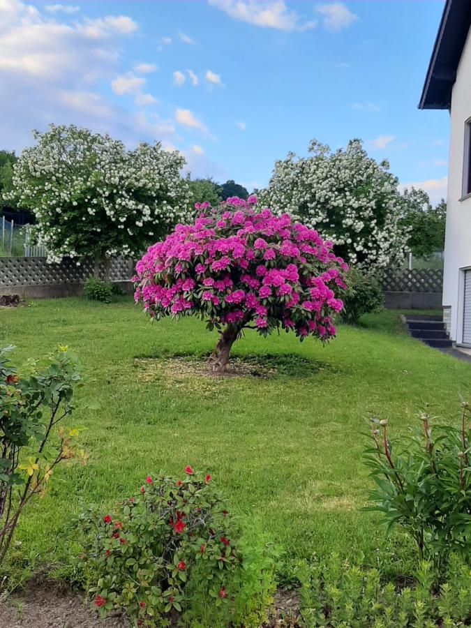 Ferienwohnung Fuelbier Oberzissen Экстерьер фото